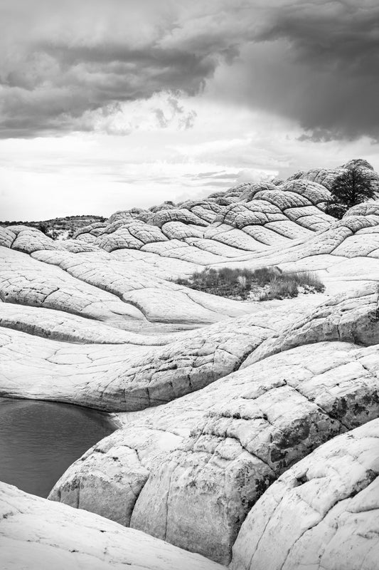 "White Pocket Rise in Black & White" - Framed canvas